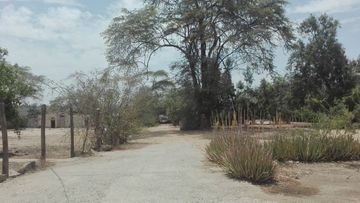TERRENO EN VENTA EN SULLANA