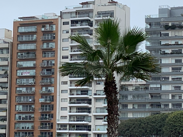 DEPARTAMENTO AMPLIO ILUMINADO CON VISTA AL MAR FINOS ACABADO