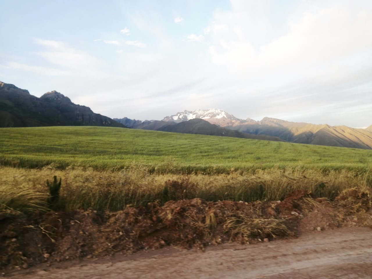 gallery_secondary