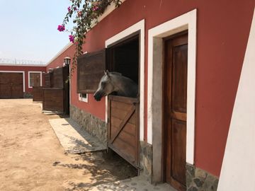 VENTA TERRENO COMERCIAL PACHACAMAC