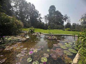 CASA VENTA, INMENSO JARDIN, PISCINA, TERRAZA, TIPO ESTANCIA