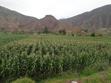 TERRENO EN VENTA EN CUSCO - PARA INVERSION