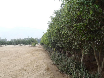 Terreno en Cieneguilla en Condominio