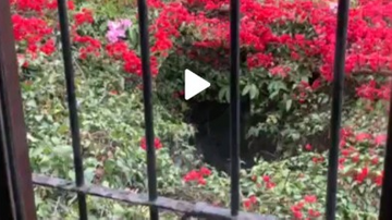 MUY BUENA CASA EN VENTA