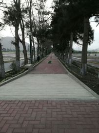 Terreno en Venta en Santa Cruz de Flores