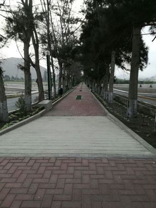 gallery_secondary