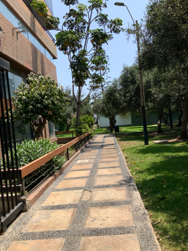   EXCELENTE OFICINA O LOCAL COMERCIAL, 260 M². PARA EMPRESAS Y OTROS EN EDIFICIO MODERNO CLÁSICO POR EL OLIVAR