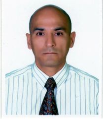 Ario Enio Fernandez de Castro Llanos