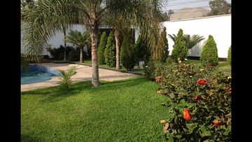 EXCELENTE CASA COMO TERRENO EN LOS ALAMOS - 023226