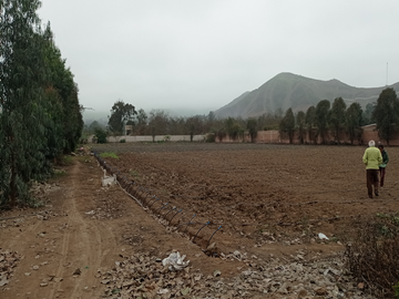 10,000M2 TERRENO CASABLANCA PACHACAMAC