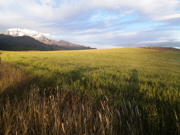 TERRENO EN VENTA EN CUSCO - PARA INVERSION