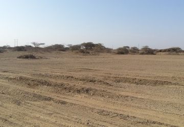 Very Nice Lot of 98 Hectares in Talara, Piura (PIU1245)