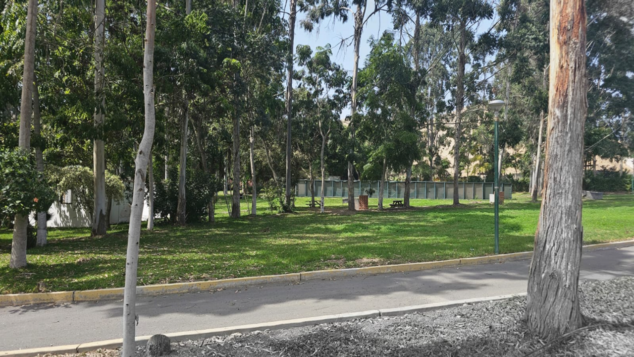 gallery_secondary