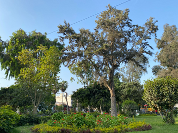 VENDO DÚPLEX DE ESTRENO, FRENTE AL PARQUE EL RETIRO, SURCO