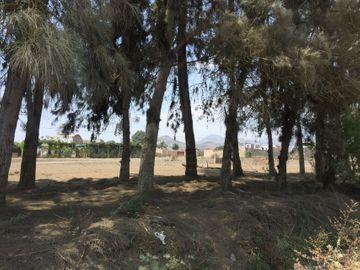 TERRENO RUSTICO en VENTA en PACHACAMAC