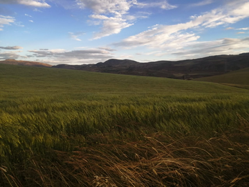 TERRENO EN VENTA EN CUSCO - PARA INVERSION