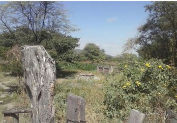 2 LARGE LOTS IN PIURA : 1100  & 948 HECTARES (Terrenos Grandes en Chulucanas en Venta)(PIU1238)