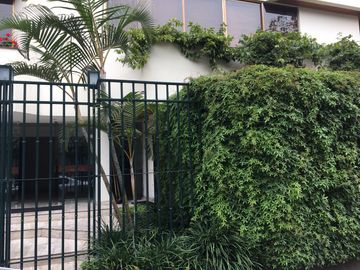 DEPARTAMENTO CON ESPACIOS GRANDES, SÚPER ILUMINA Y CON VISTA A COPA DE ARBOLES