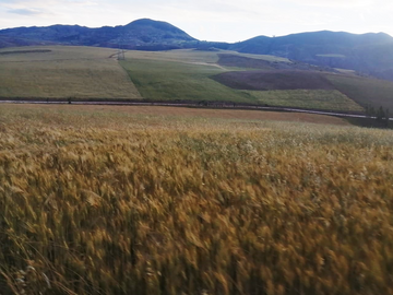 TERRENO EN VENTA EN CUSCO - PARA INVERSION