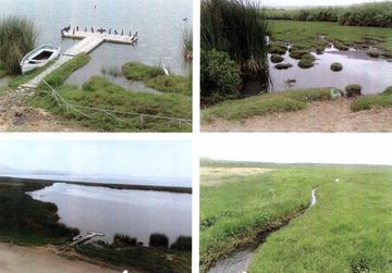 LAND OF 175 HECTARES IN HUAURA, LIMA (Terreno de 175 has en Playa Chica, Huaura) (LIM1466)
