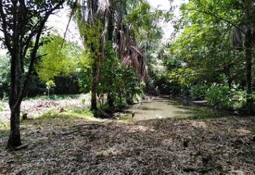 8596 m2 in Tarapoto (SAN1029)