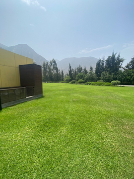 TERRENO VENTA CIENEGUILLA