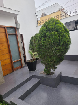 CASA EN LOS OLIVOS 169 SURCO COD. 23562