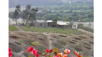EXCELENTE TERRENO DE CAMPO EN COAYLLO - 018984