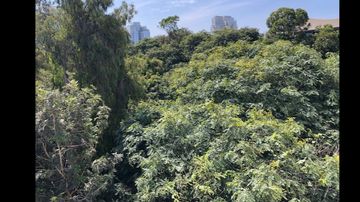 PRECIOSO PENTHOUSE DUPLEX ARQ. MARIO LARA