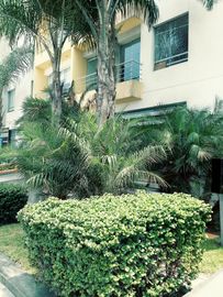 Lindo Departamento de Estreno en Miraflores