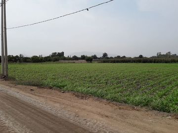 Excelente Terreno en Lurin