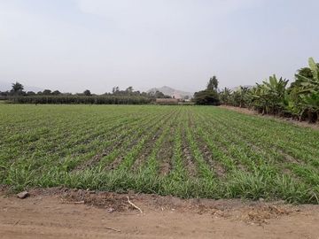 Excelente Terreno en Lurin