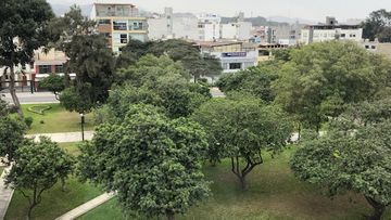 VENTA PENTHOUSE DUPLEX CASI ESTRENO FTE A PARQUE