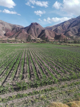 TERRENO EN VENTA EN CUSCO - PARA INVERSION