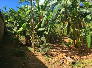 694 m2 in La Banda de Shilcayo, Tarapoto (SAN1028)