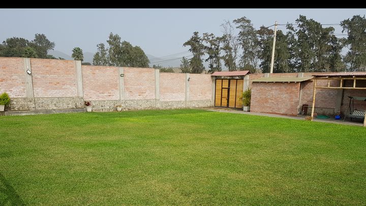 gallery_main